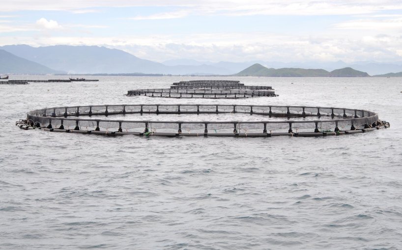 Preocupación por traspaso de concesiones marítimas a Bienes Nacionales