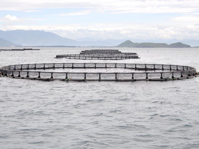 Preocupación por traspaso de concesiones marítimas a Bienes Nacionales