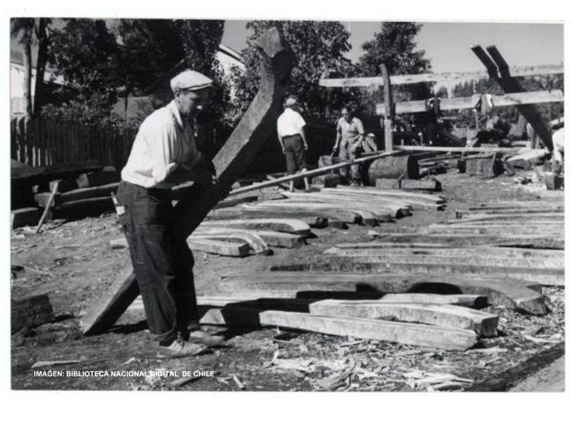 Industria de Ribera de la Región del Bíobío, en peligro