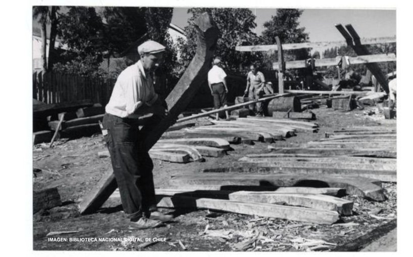 Industria de Ribera de la Región del Bíobío, en peligro