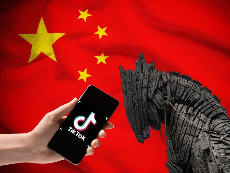 TIK TOK ¿un Caballo de Troya Digital?