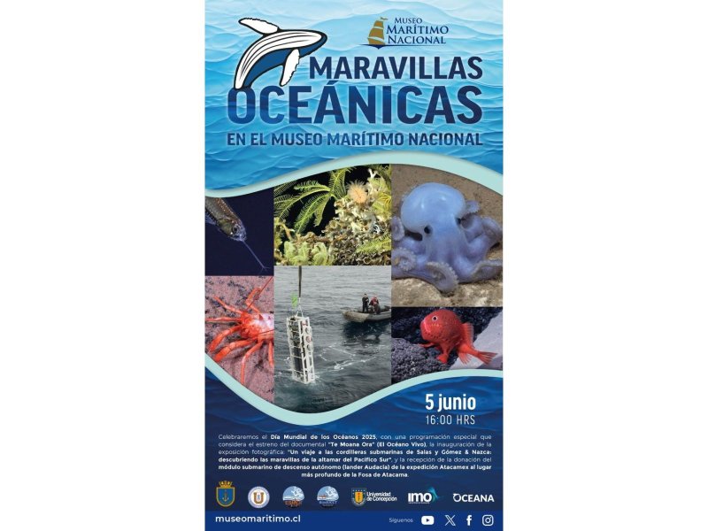 Liga Marítima de Chile destaca actividad organizada por el Museo Marítimo Nacional para conmemorar el Día Mundial de los Océanos 2025