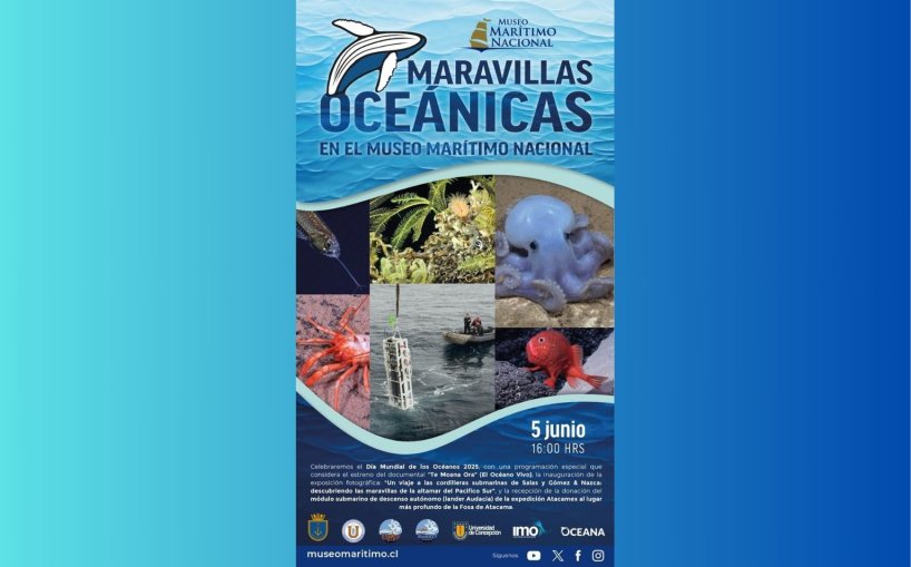 Liga Marítima de Chile destaca actividad organizada por el Museo Marítimo Nacional para conmemorar el Día Mundial de los Océanos 2025
