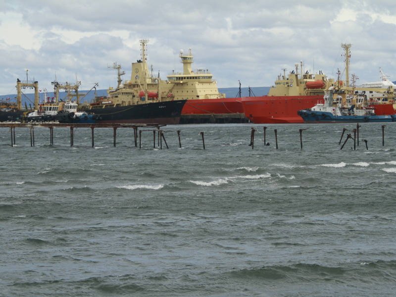 Presidente de Ligamar: “La modificación a la Ley de Cabotaje tiene un error de origen”