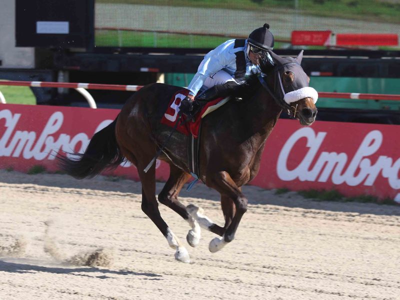 “A Ver Si Puedo” brilló en el Clásico Copa Liga Marítima de Chile: una tradición que une el mar y la hípica