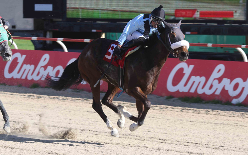 “A Ver Si Puedo” brilló en el Clásico Copa Liga Marítima de Chile: una tradición que une el mar y la hípica