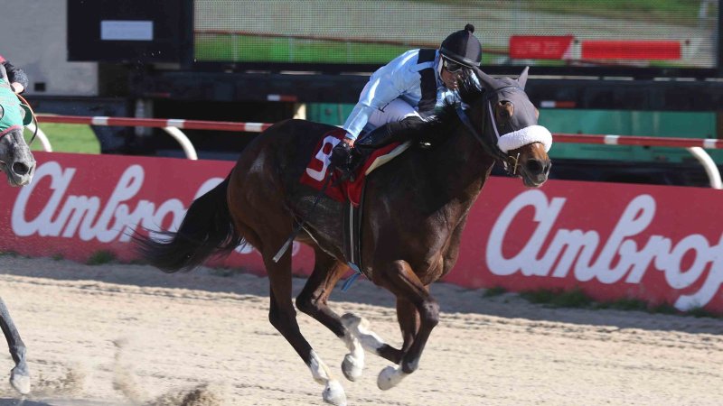 “A Ver Si Puedo” brilló en el Clásico Copa Liga Marítima de Chile: una tradición que une el mar y la hípica